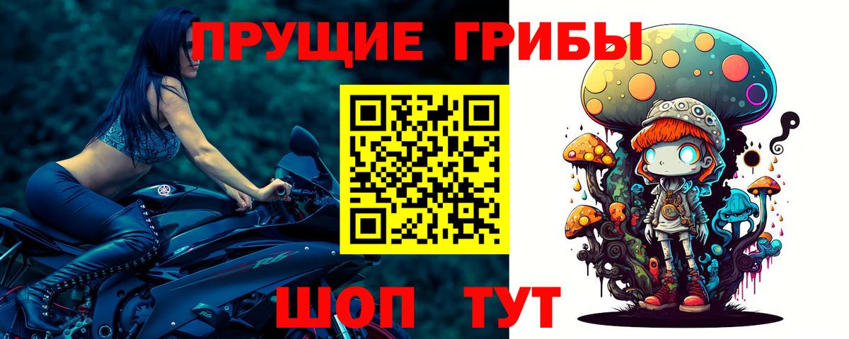 Галлюциногенные грибы мухоморы Ковров