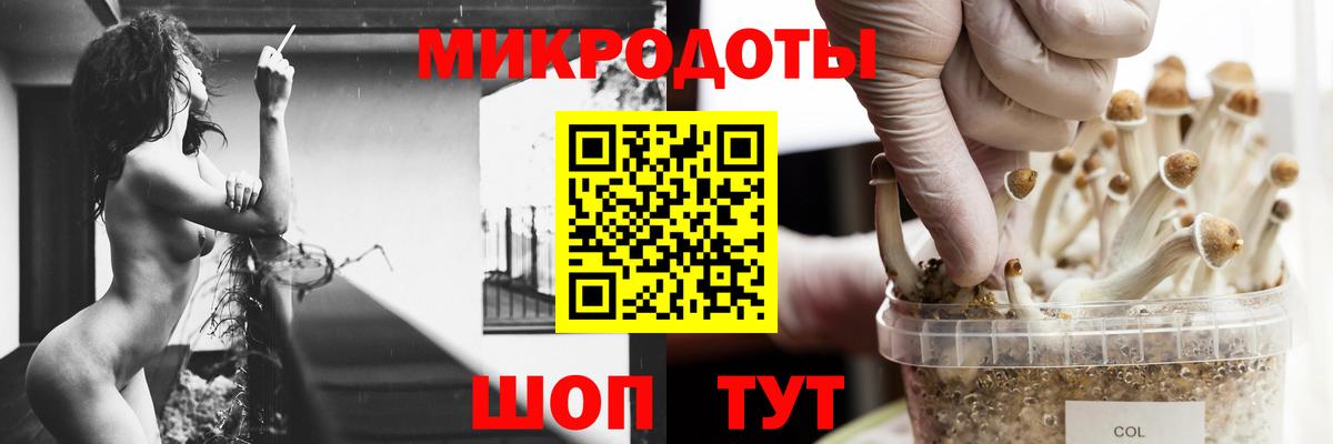 даркнет сайт  Псилоцибиновые грибы мицелий  Вход с VPN  Галлюциногенные грибы Cubensis  Ковров 
